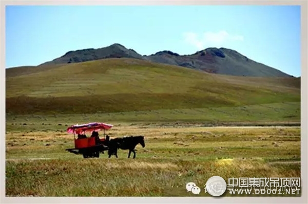 生活越快心則越慢，楚楚吊頂給家一片美麗的天