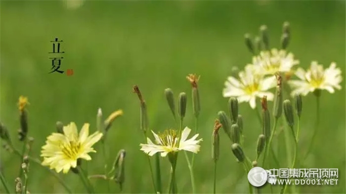 選擇這五款吊頂，寶蘭幫你打造清涼夏日衛(wèi)浴空間