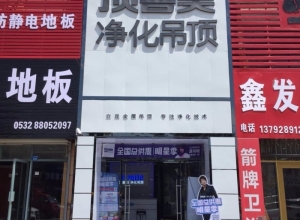 頂善美凈化吊頂山東膠州專賣店